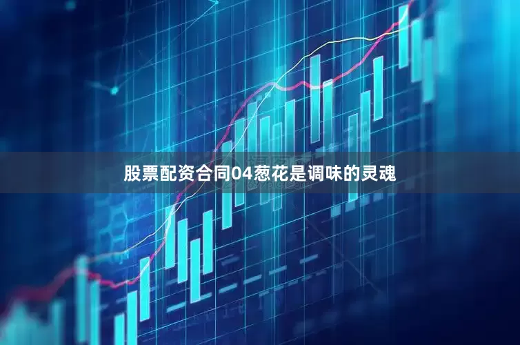 股票配资合同04葱花是调味的灵魂