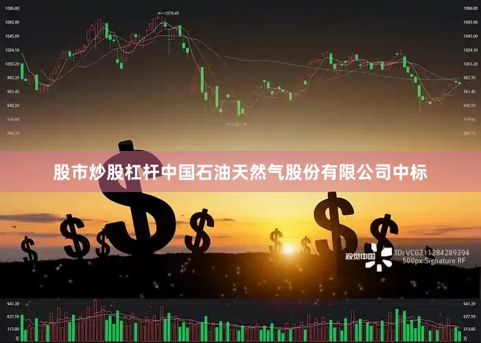 股市炒股杠杆中国石油天然气股份有限公司中标